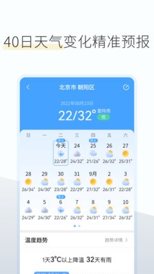 A(y)(bo)app؈D