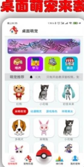 Ȍ(desktop pet) app؈D