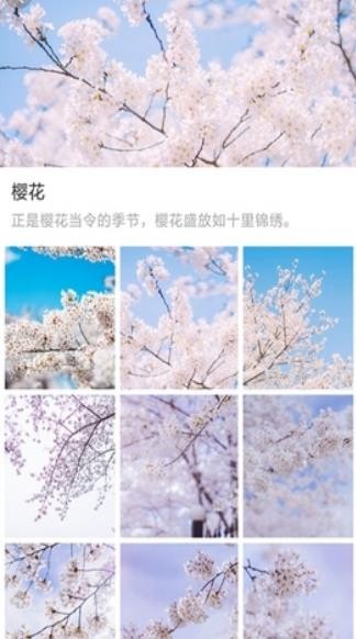 _ڼapp؈D