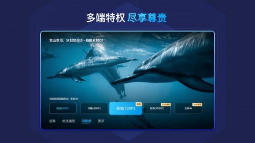 ٶȾWPtv؈D