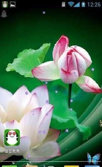 ɏapp؈D