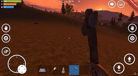 g C(Oxide-survival Island)؈D