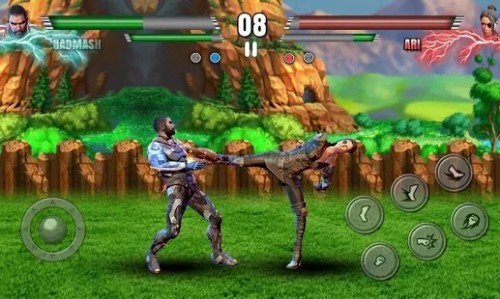 ȭ피񶷣Fighter؈D