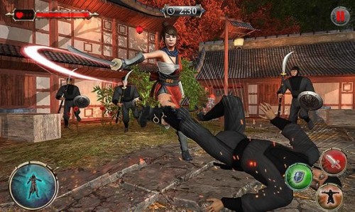 ӢFSuperhero Ninja Iron Blade؈D