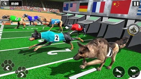 ِ\(bio)ِ İ棨Dog Racing Championship؈D