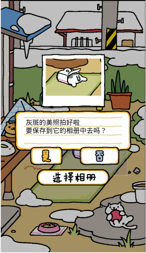 ؈Ժ 3DMh(Neko AtsumeΑAPPd؈D