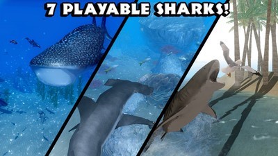 ~ģMReal Shark SimulatorΑAPPd؈D