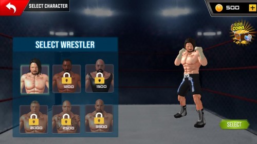 ˤӴ܊ِWrestling Rumble Fight Championshipd؈D
