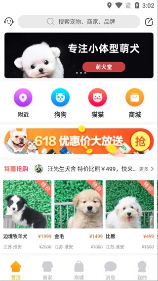 ЈAPP؈D