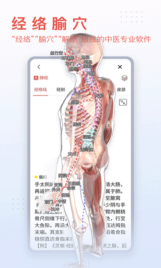 3Dbodyʰ׿app؈D