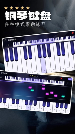 piserapp؈D