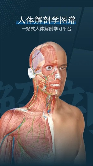 wʌWDVVB Suiteapp؈D