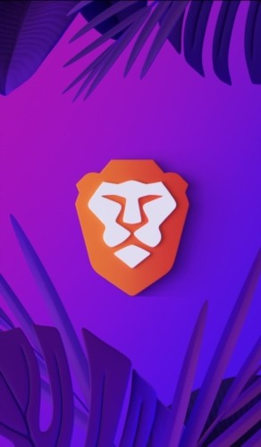 Braveg[app؈D