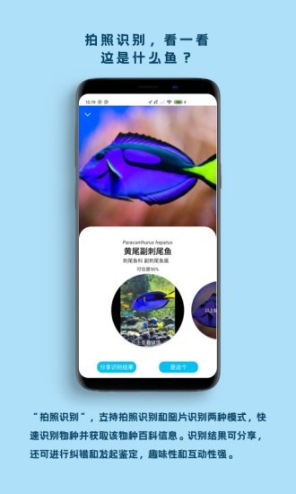 ~(y)app׿°؈D