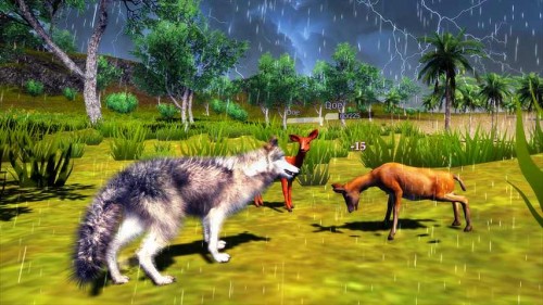 ģM棨The Wolf SimulatorΑAPPd؈D