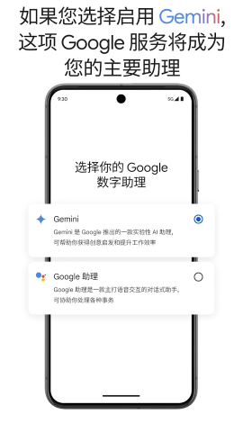 Gemini˹ģapp؈D