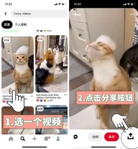 pinterestHappd؈D