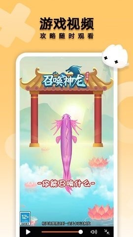 pappdb؈D