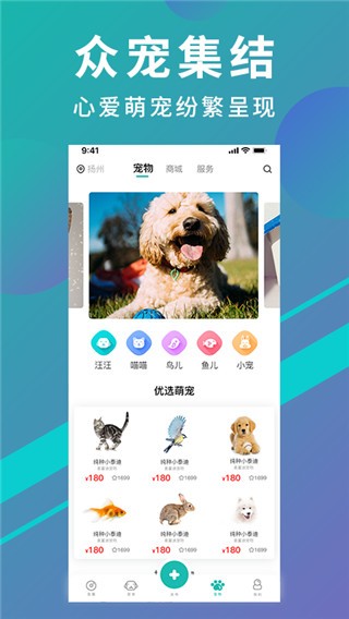 app؈D
